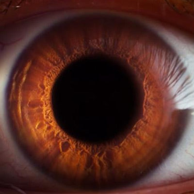 Ab heute online unser neues Video: Exklusiv handgemachte Apple Watch Armbänder und Uhrenarmbänder