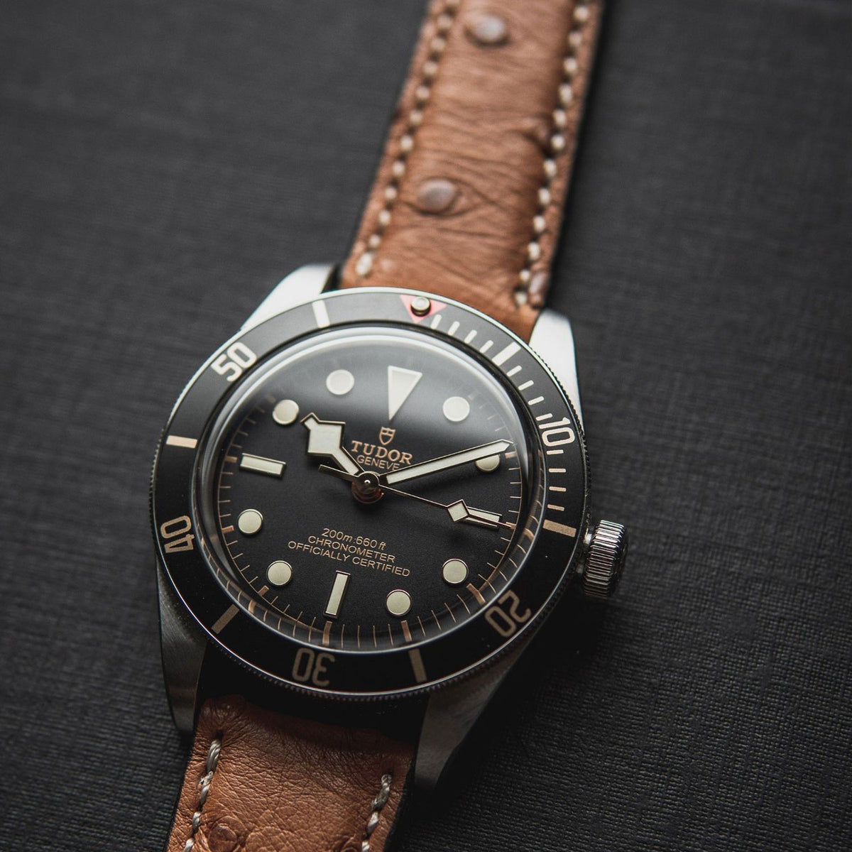 Tudor Black Bay 58 kompatibles Uhrenarmband 20 mm &quot;OBERKASSEL&quot; (Straußenleder) – goldene Schließe